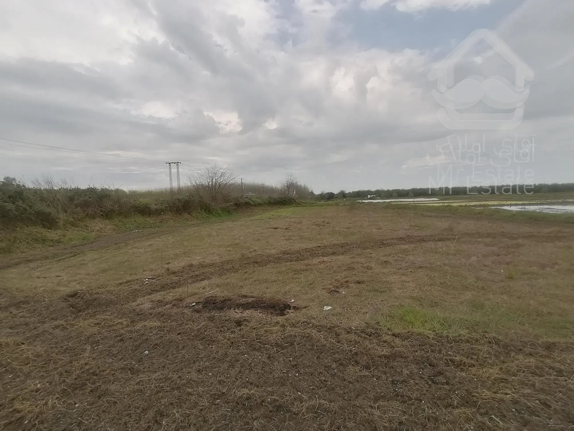 خرید شالیزار نزدیک دریابندرانزلی