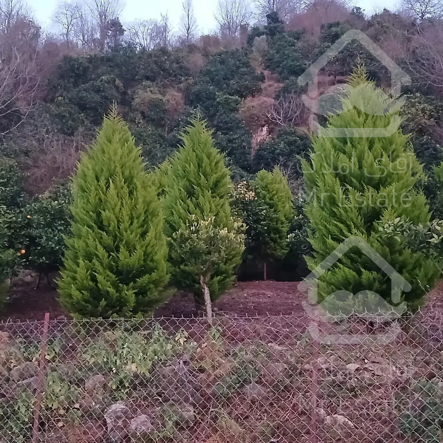 فروش زمین در منطقه برند رامسر