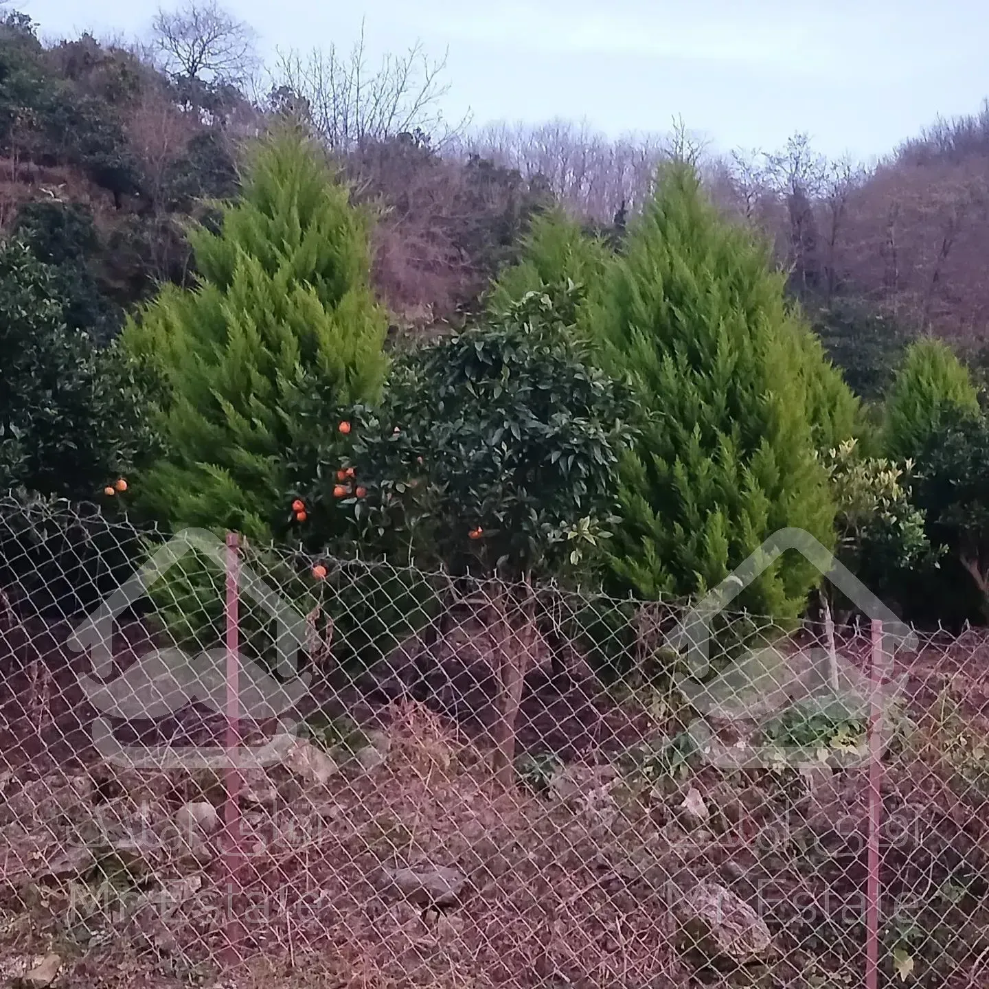 فروش زمین در منطقه برند رامسر