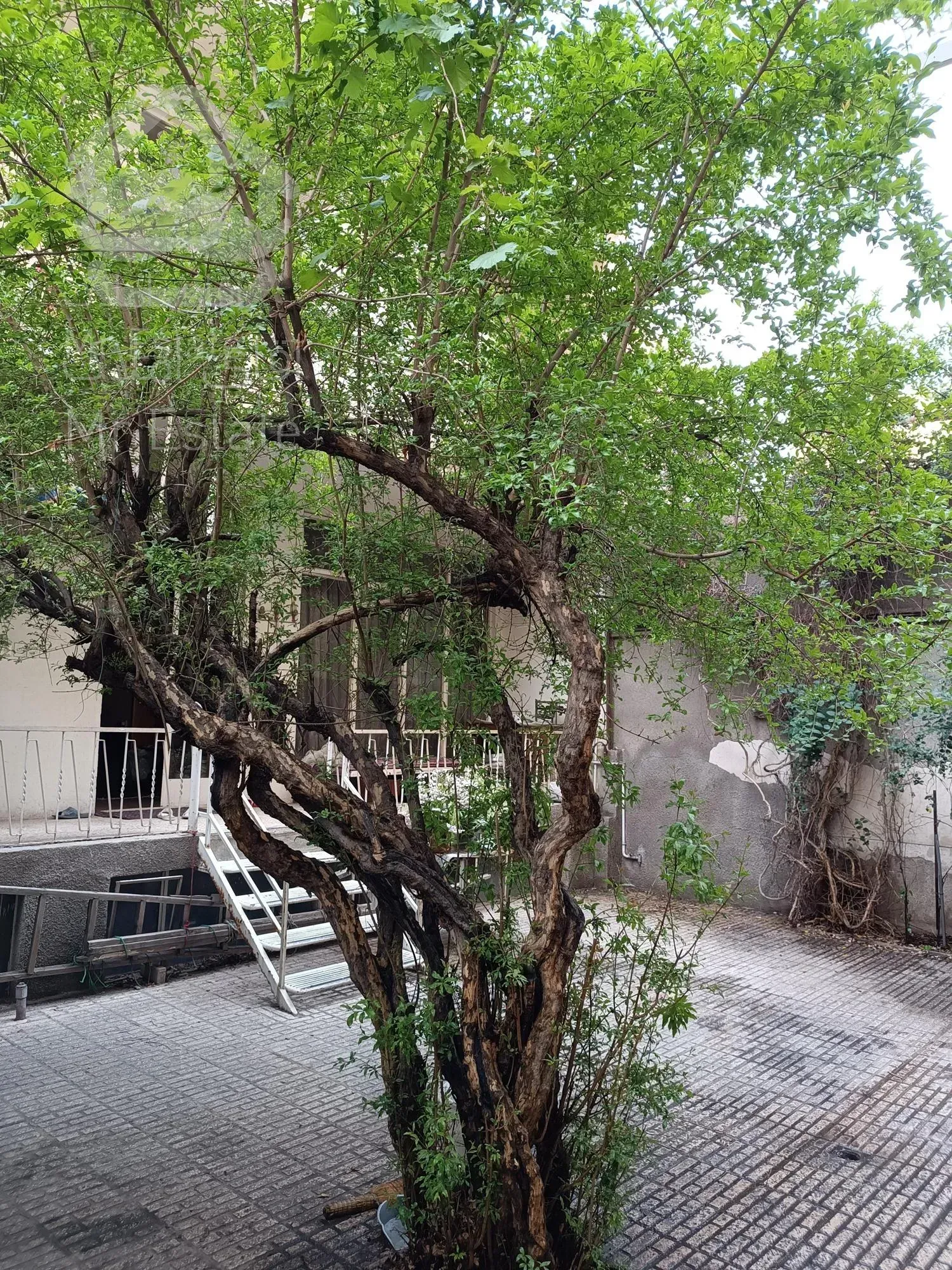 خانه ای در بن بستی دنج, جنوبی, در دو طبقه