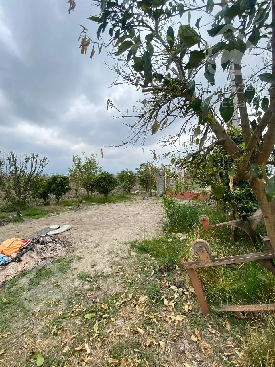 فروش فوری ویلا باغ منطقه چمستان سند تک‌برگ