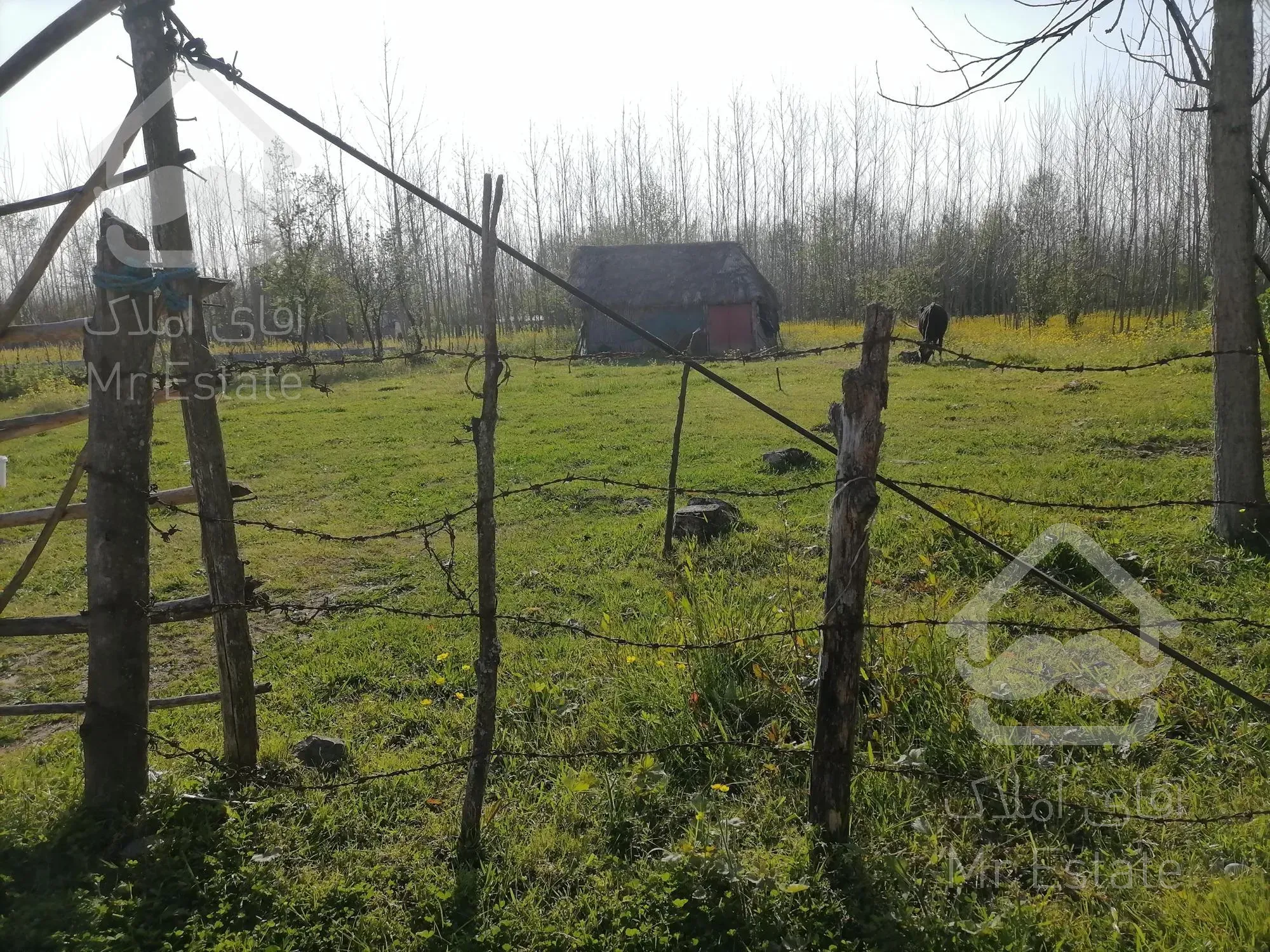 خرید زمین 600 متری باپروانه ساخت درصومعه سرا