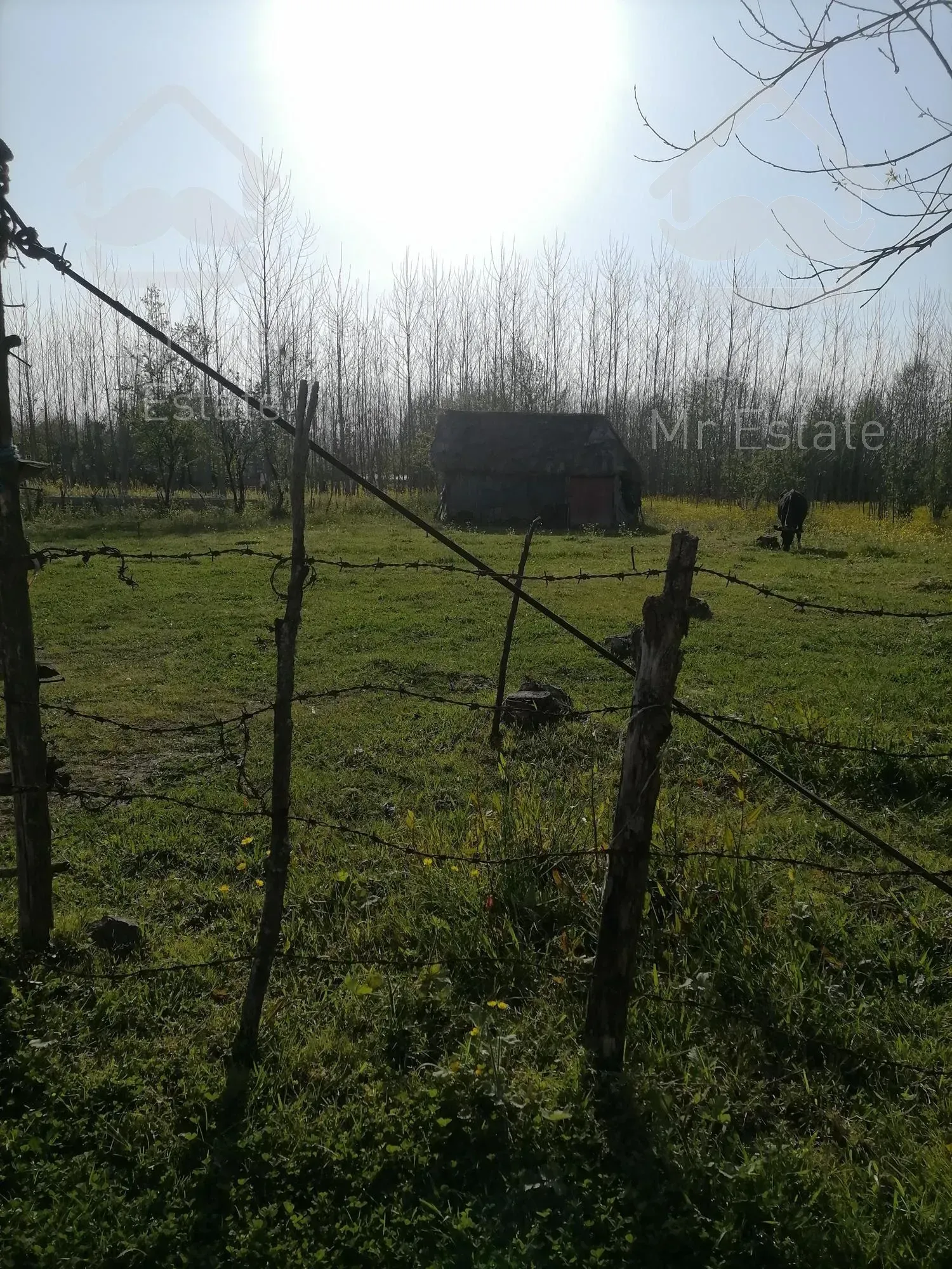 خرید زمین 600 متری باپروانه ساخت درصومعه سرا