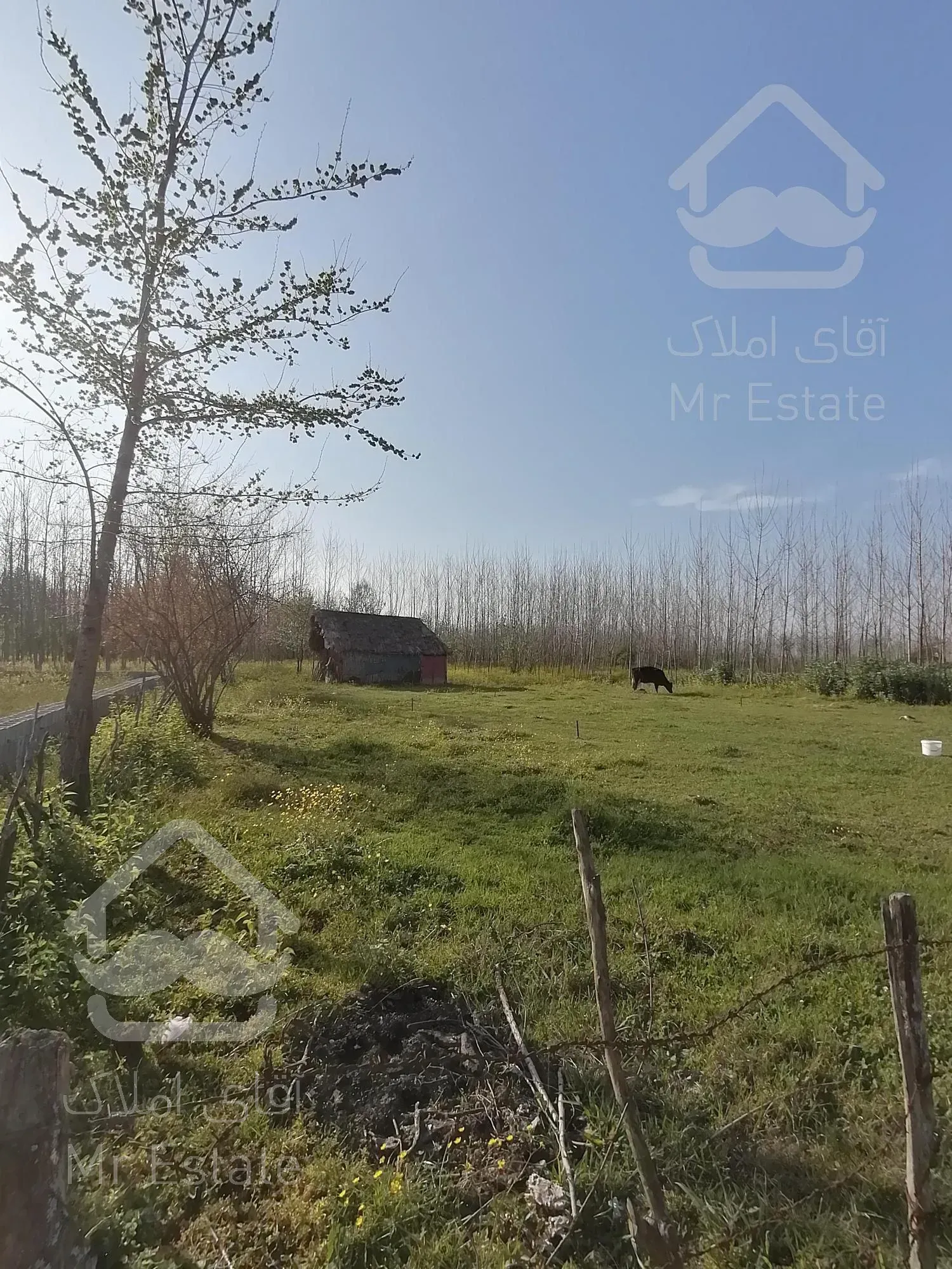 خرید زمین 600 متری باپروانه ساخت درصومعه سرا