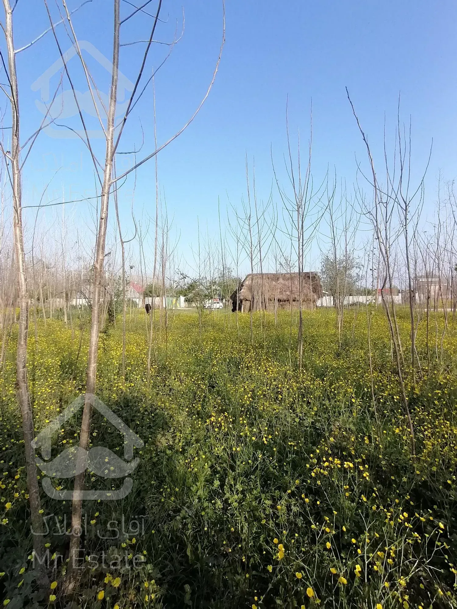 خرید زمین 600 متری باپروانه ساخت درصومعه سرا