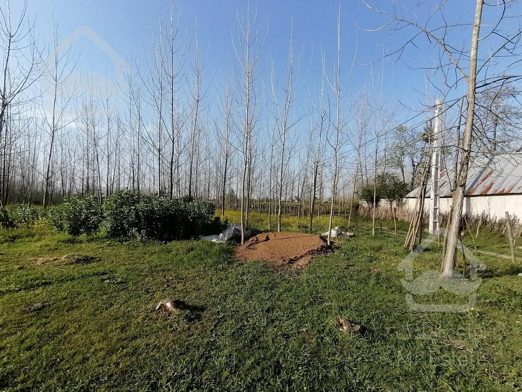 خرید زمین 600 متری باپروانه ساخت درصومعه سرا