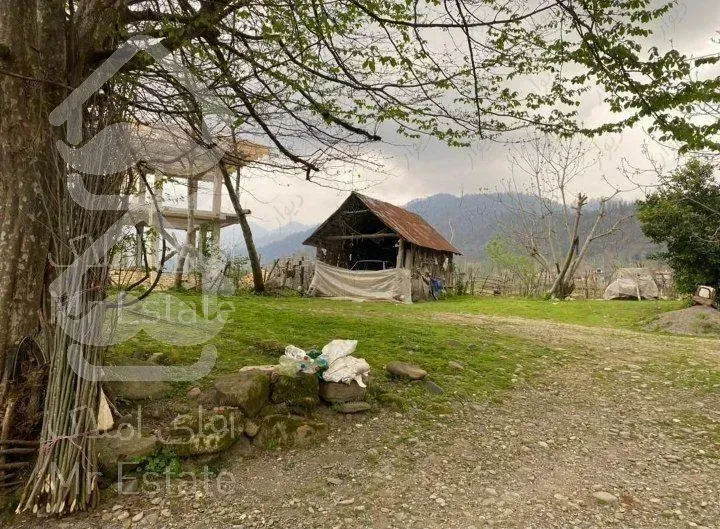 زمین در شمال