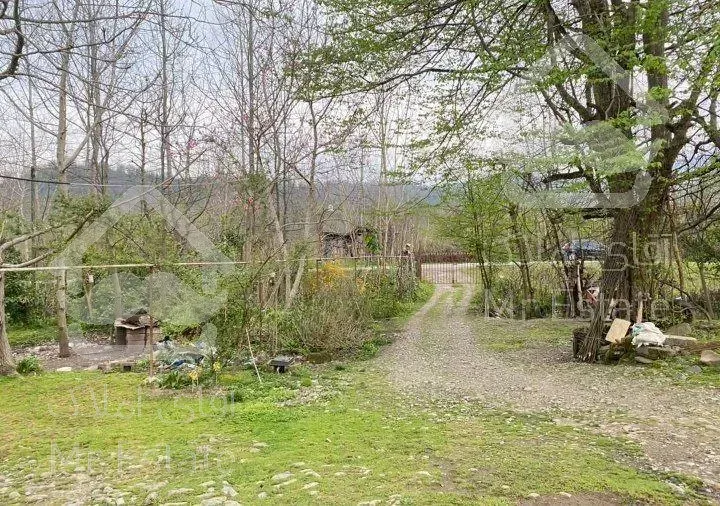 زمین در شمال