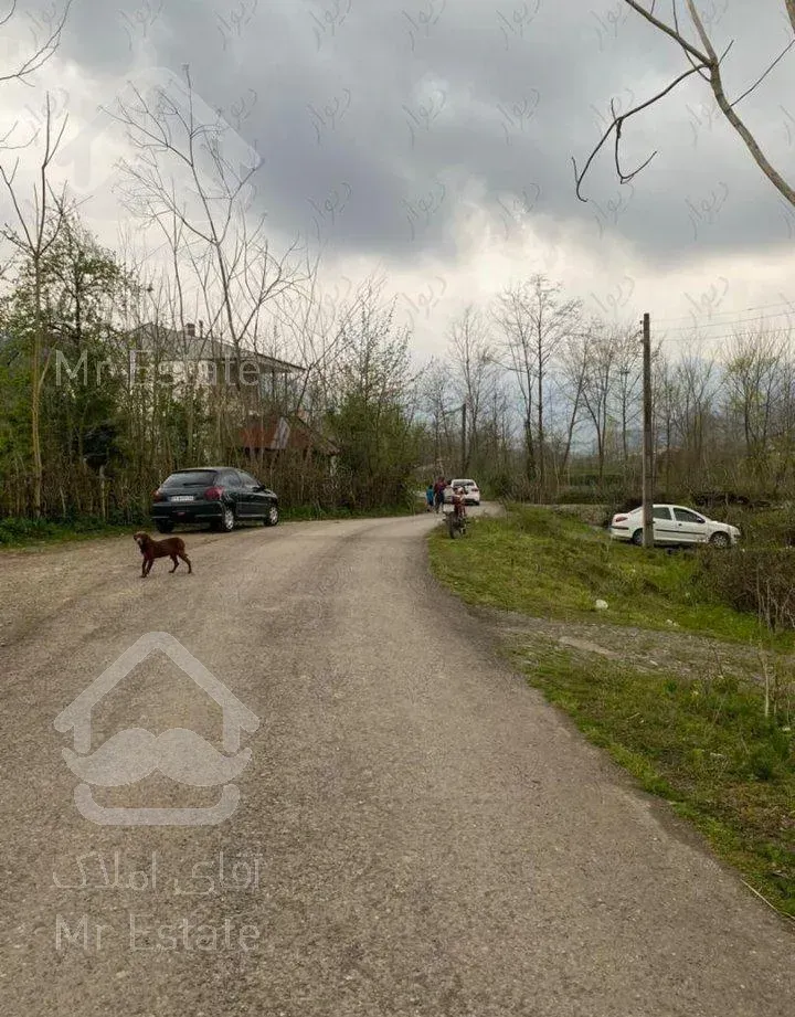 زمین در شمال