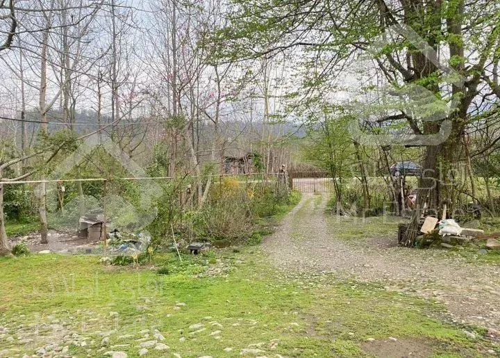 زمین در شمال