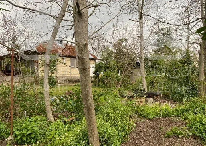 زمین در شمال