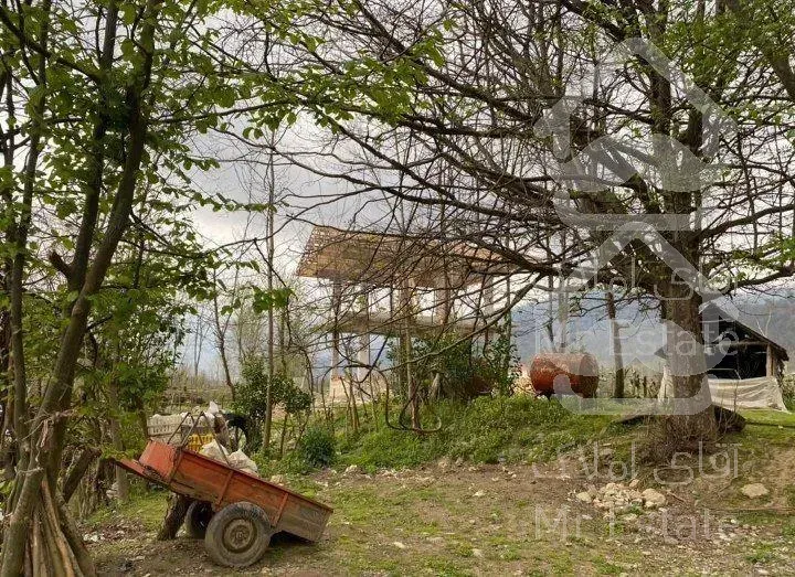 زمین در شمال