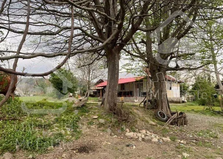 زمین در شمال