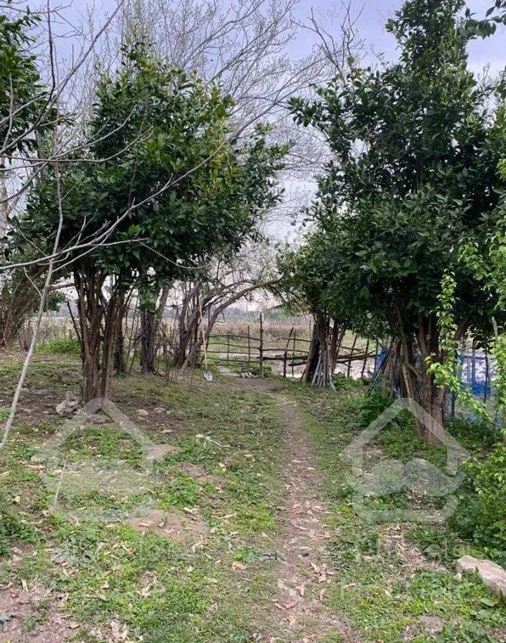 زمین در شمال