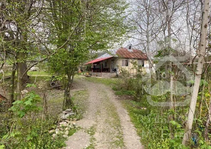 زمین در شمال