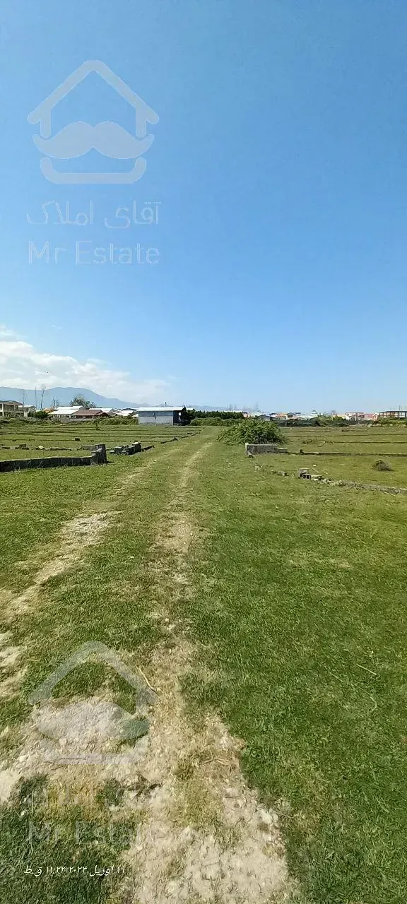 فروش زمین ۲۵۰ متری قابل ساخت و ساز