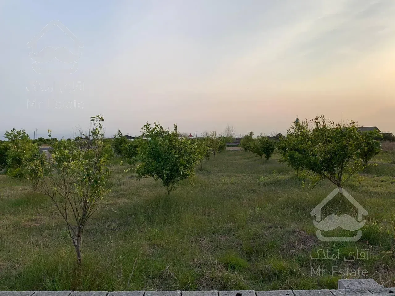 1700مترزمین/قابل تفکیک/منطقه سرسبز