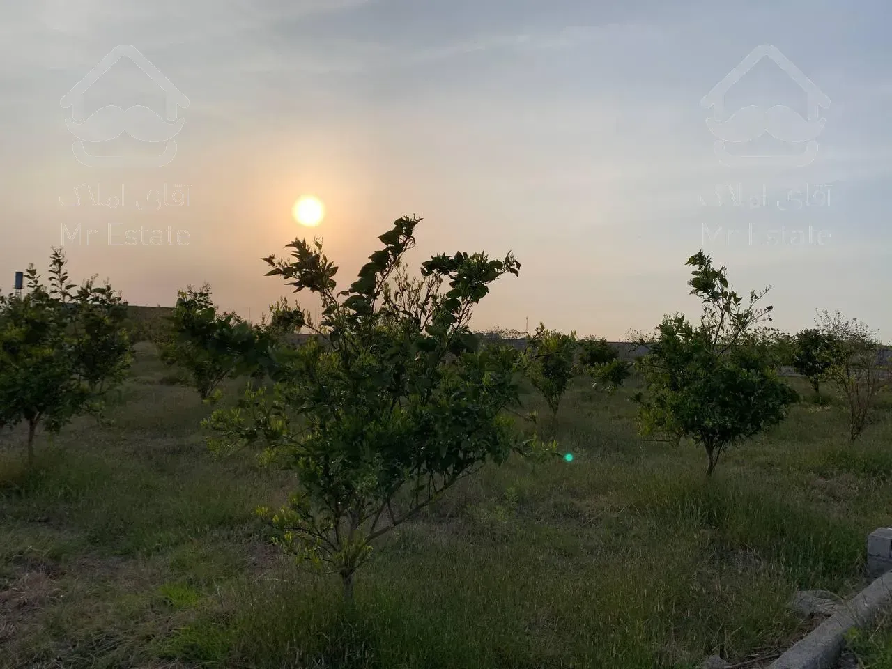 1700مترزمین/قابل تفکیک/منطقه سرسبز