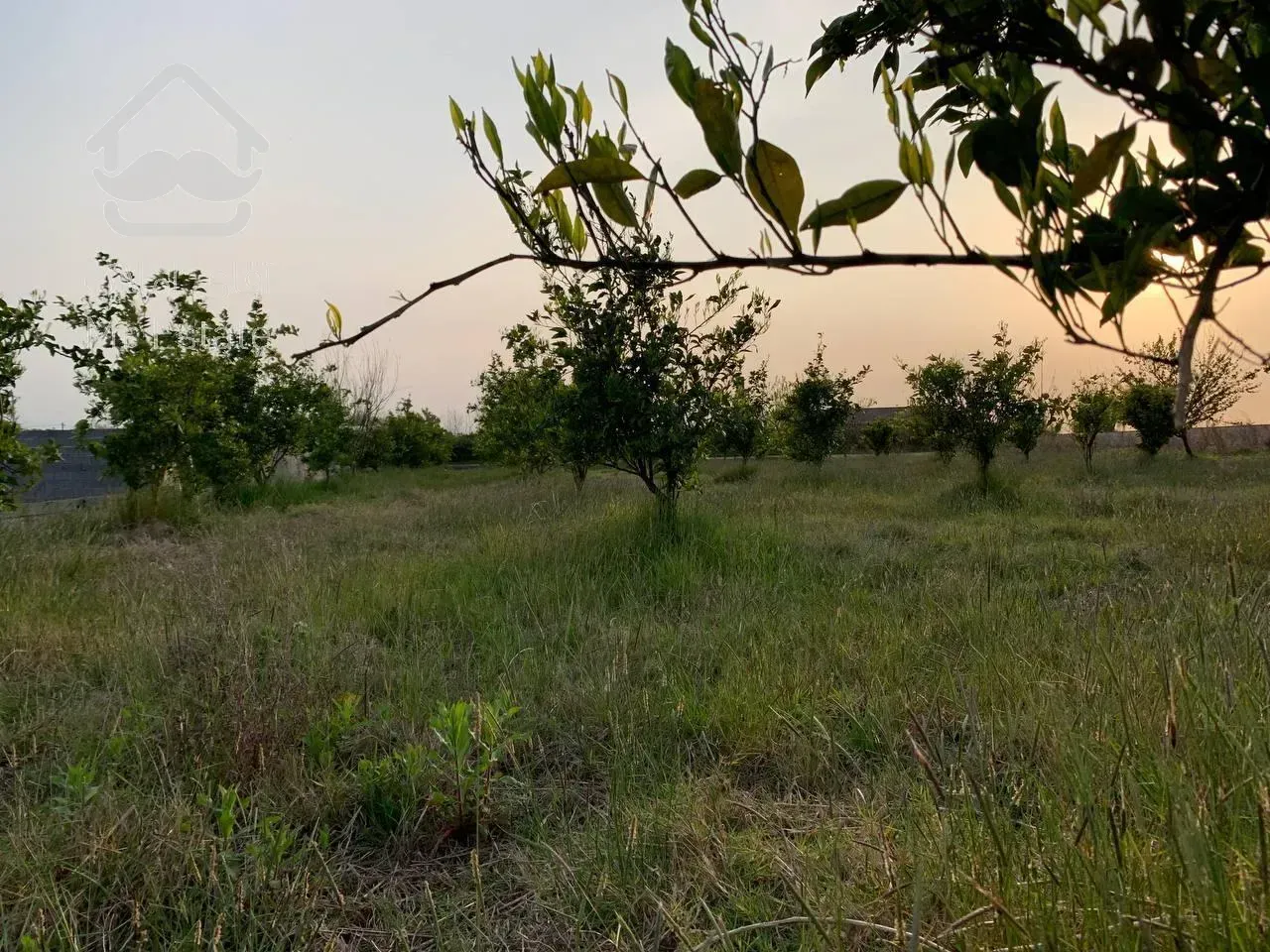 1700مترزمین/قابل تفکیک/منطقه سرسبز