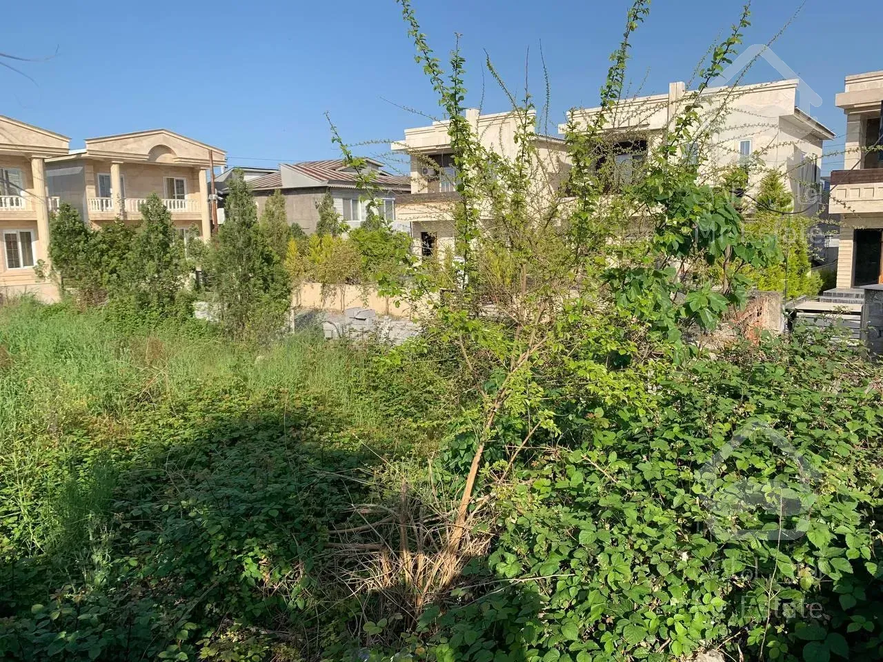 650م زمین شهرکی قابل ساخت در بهترین منطقه وزیر قیمت