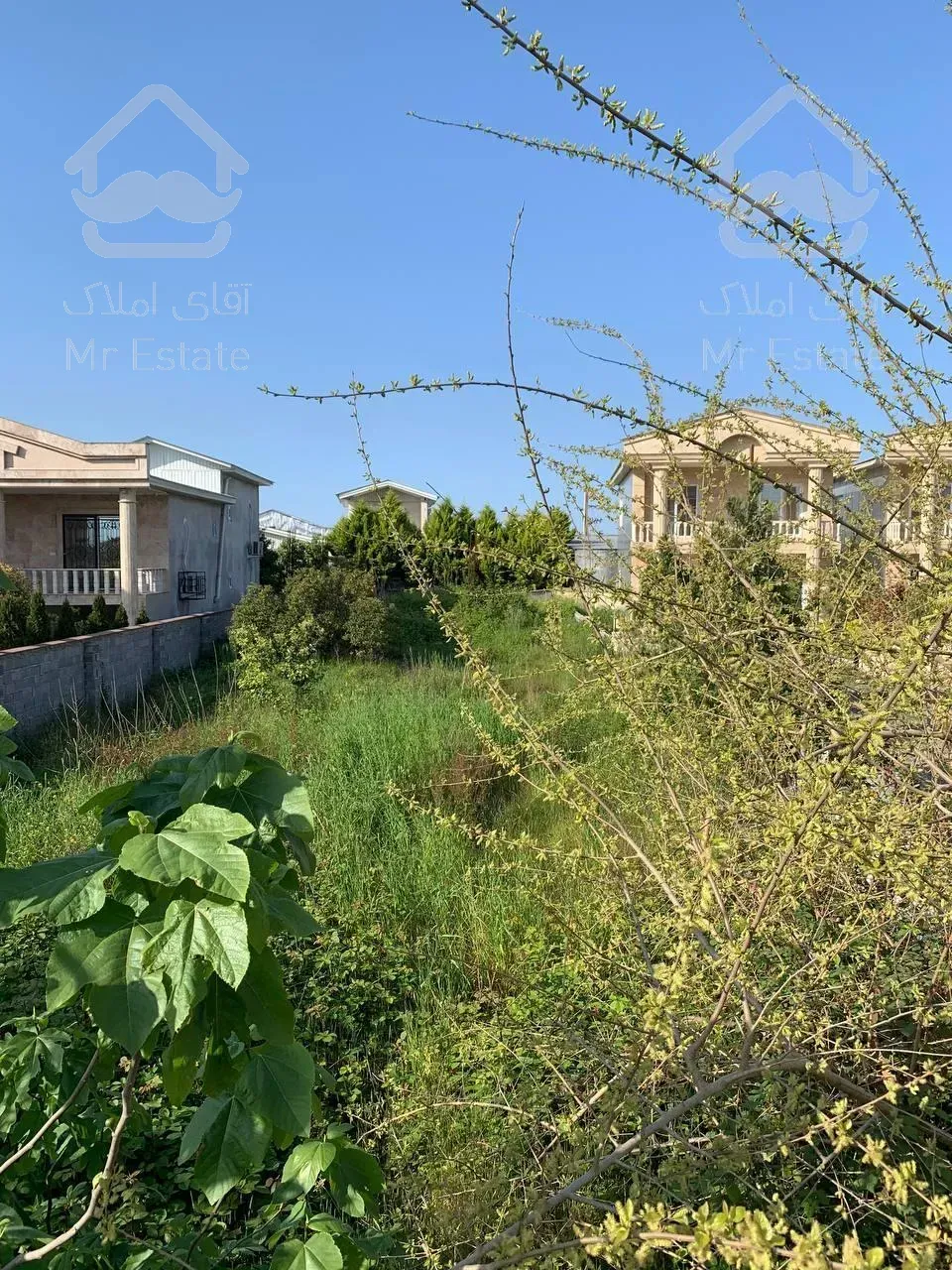 650م زمین شهرکی قابل ساخت در بهترین منطقه وزیر قیمت