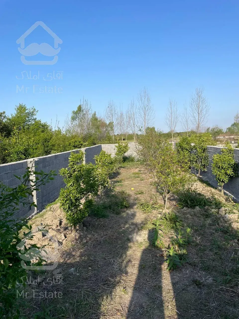 زمین قابل ساخت منطقه فوق سرسبز