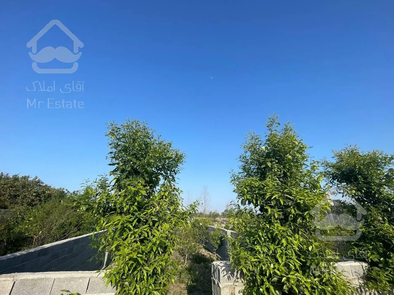 زمین قابل ساخت منطقه فوق سرسبز