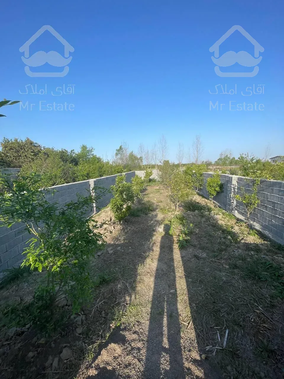 زمین قابل ساخت منطقه فوق سرسبز