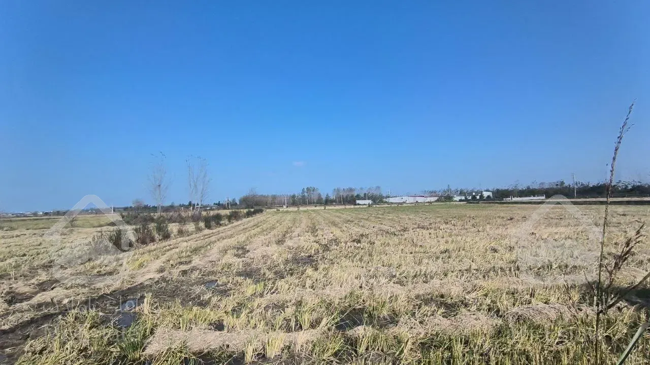 زمین مناسب سرمایه گذاری/منطقه برند