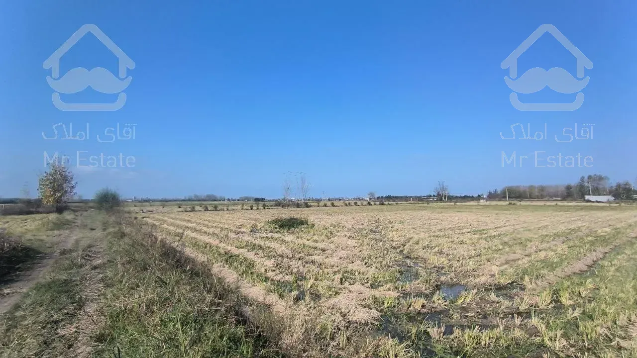 زمین مناسب سرمایه گذاری/منطقه برند