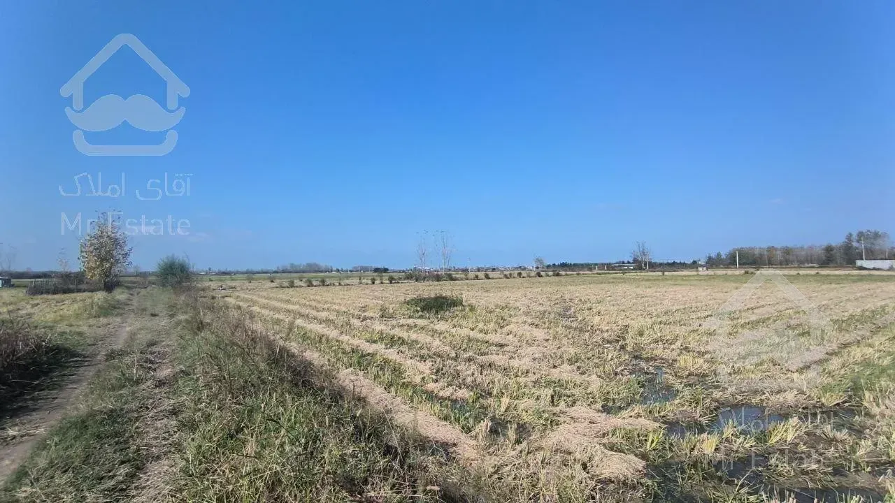 زمین مناسب سرمایه گذاری/منطقه برند