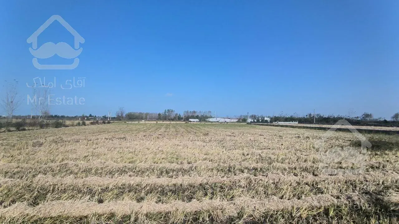 زمین مناسب سرمایه گذاری/منطقه برند