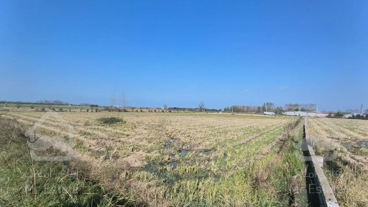 زمین مناسب سرمایه گذاری/منطقه برند