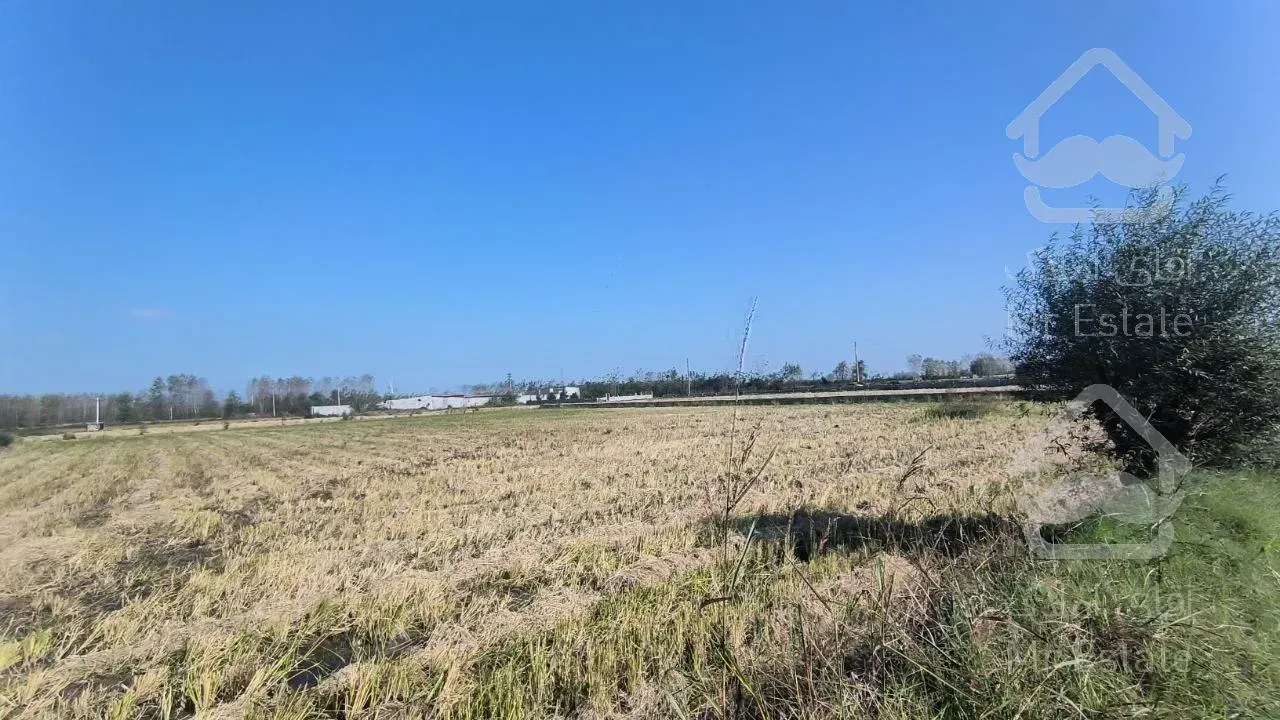 زمین مناسب سرمایه گذاری/منطقه برند