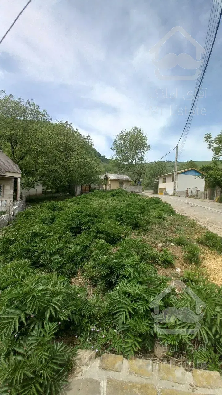 ۶۰۰متر زمین سند تک برگ/با چشم انداز ابدی