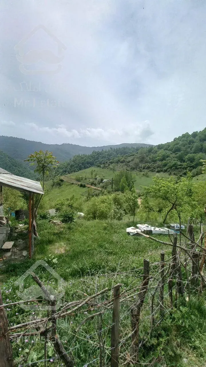 ۶۰۰متر زمین سند تک برگ/با چشم انداز ابدی