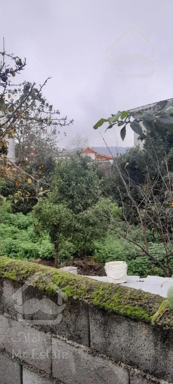 فروش فوری زمین منطقه چمستان سنددار