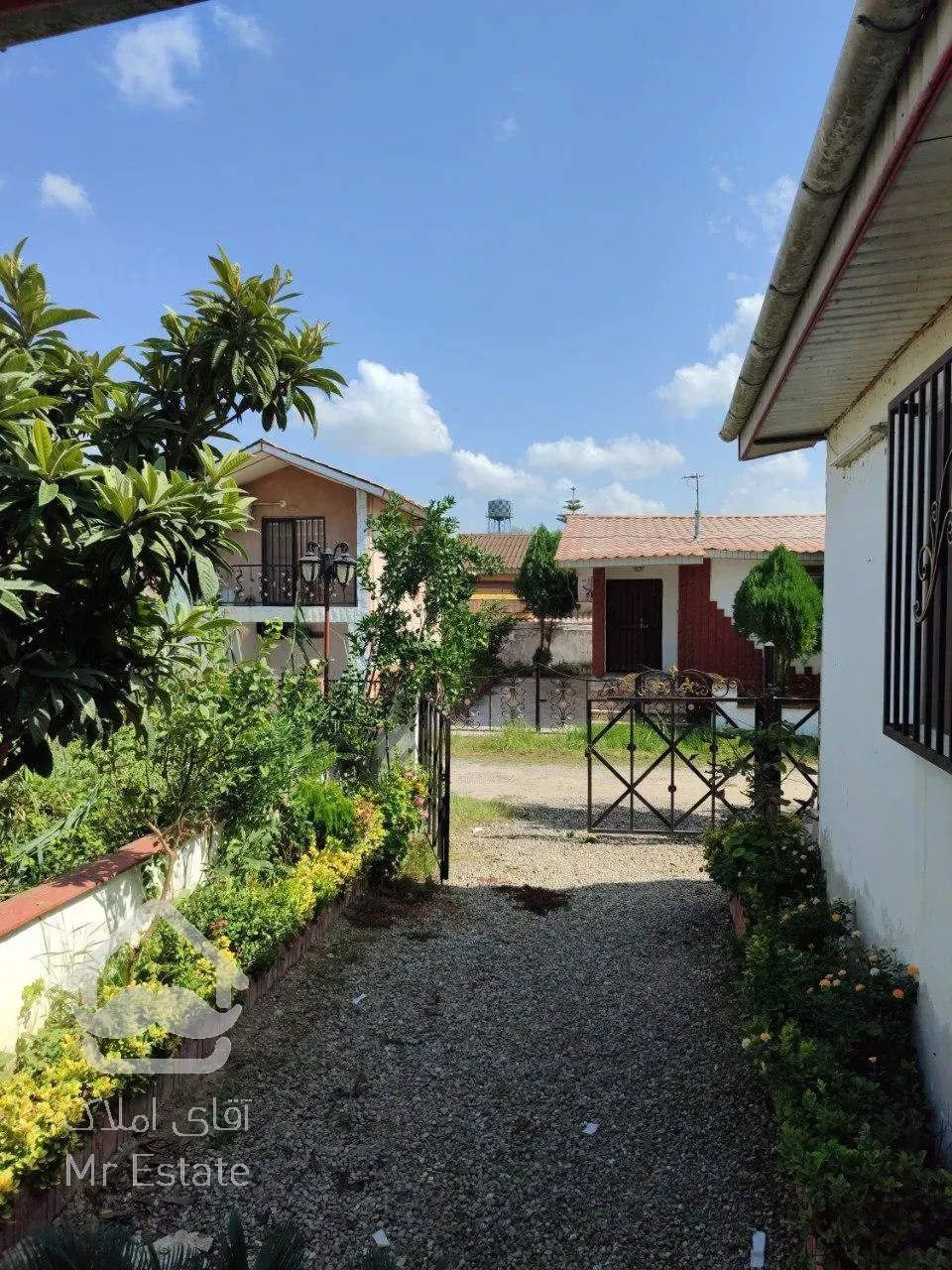 ویلانیم پیلوت/سندتکبرگ/فوق العاده سرسبز