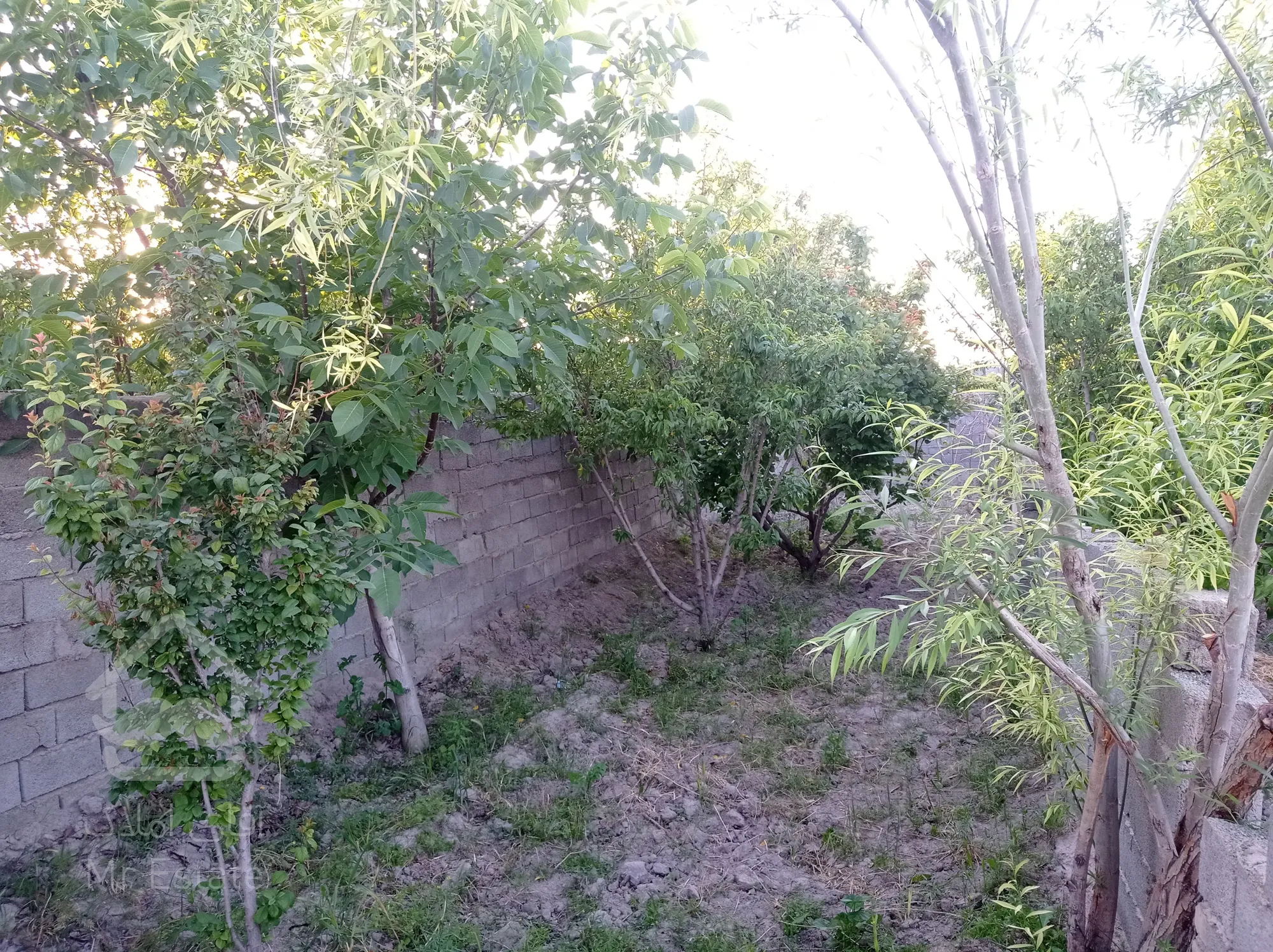 باغچه ۱۳۰ متری آلاچیق دار چهاردیواری قدیمی