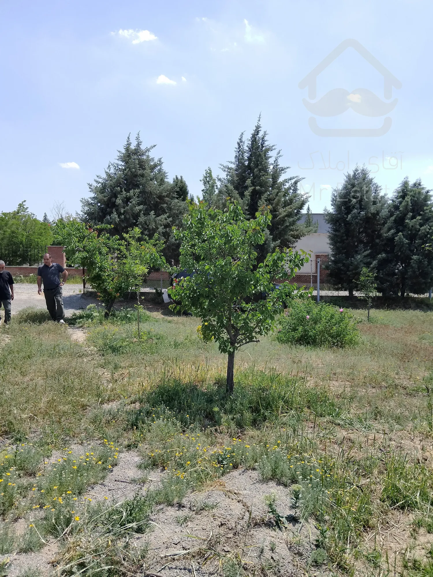 813 متر باغچه فول امکانات