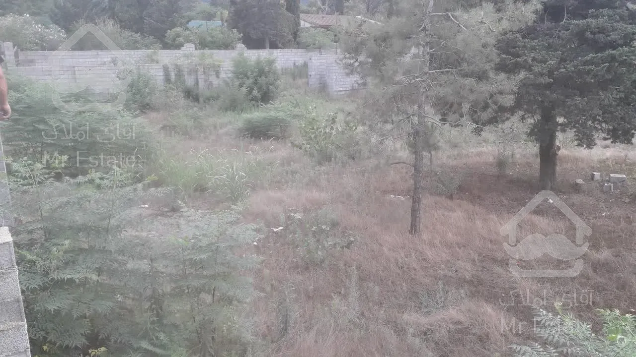 فروش زمین ساحلی