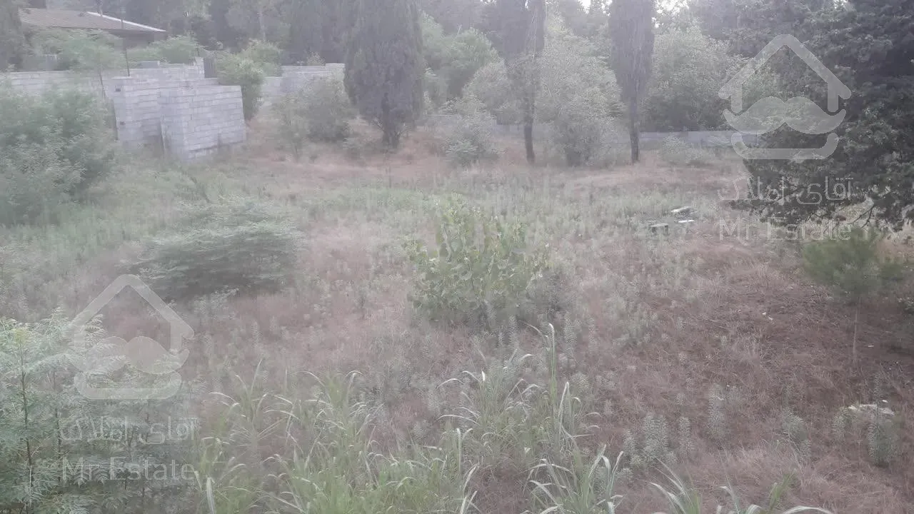 فروش زمین ساحلی