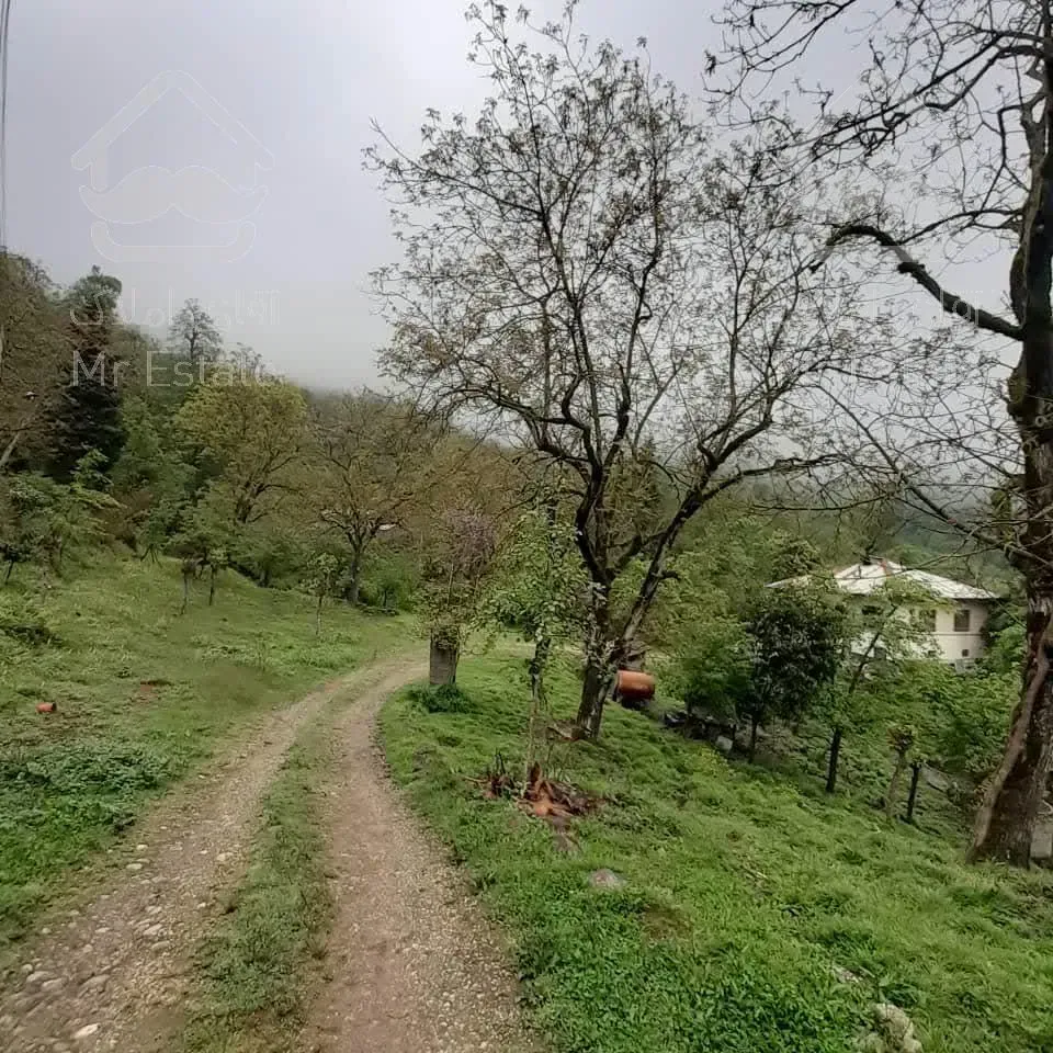 فروش زمین ویودار در رامسر