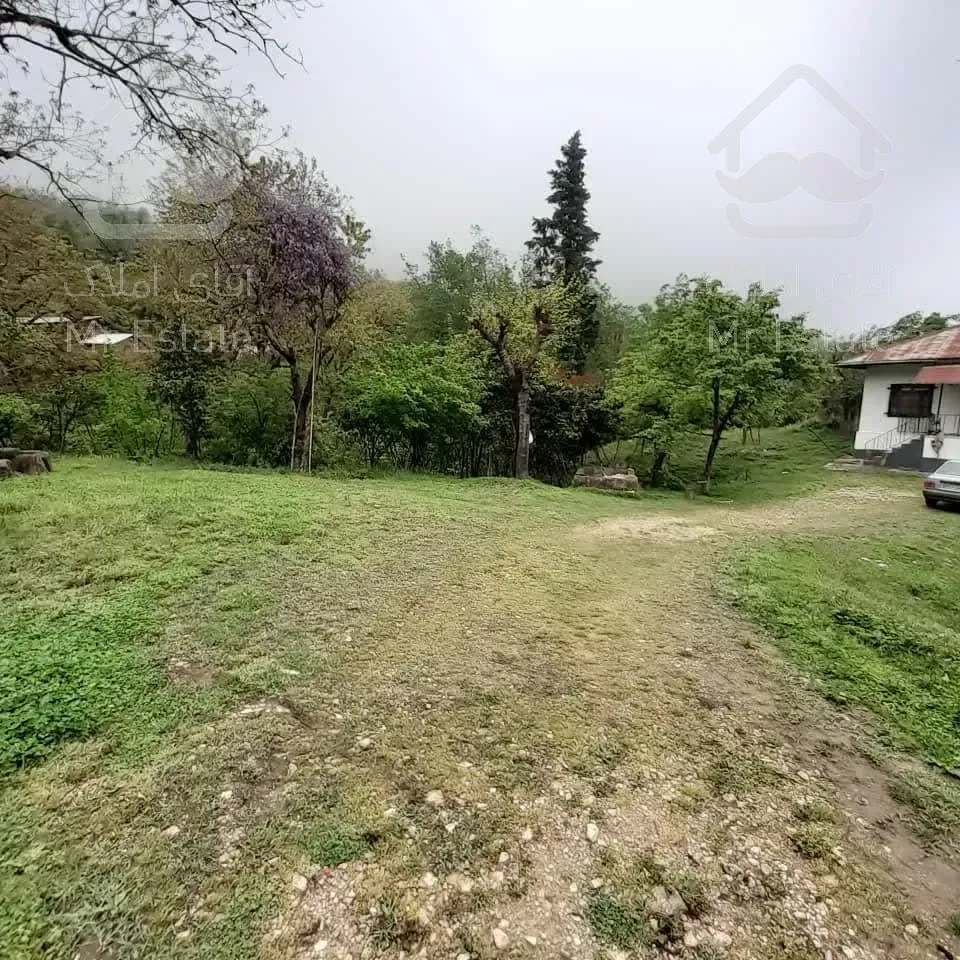 فروش زمین ویودار در رامسر