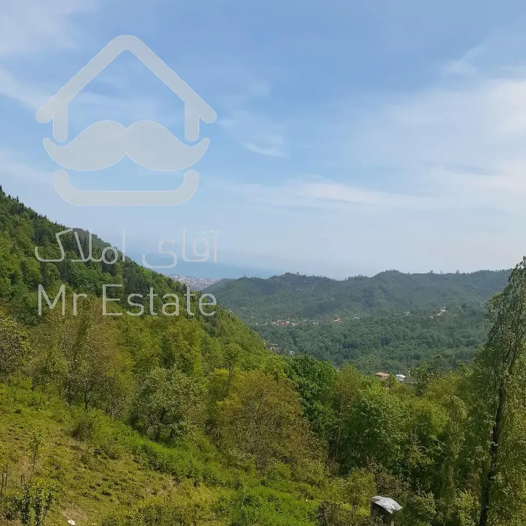 فروش زمین ویودار در رامسر