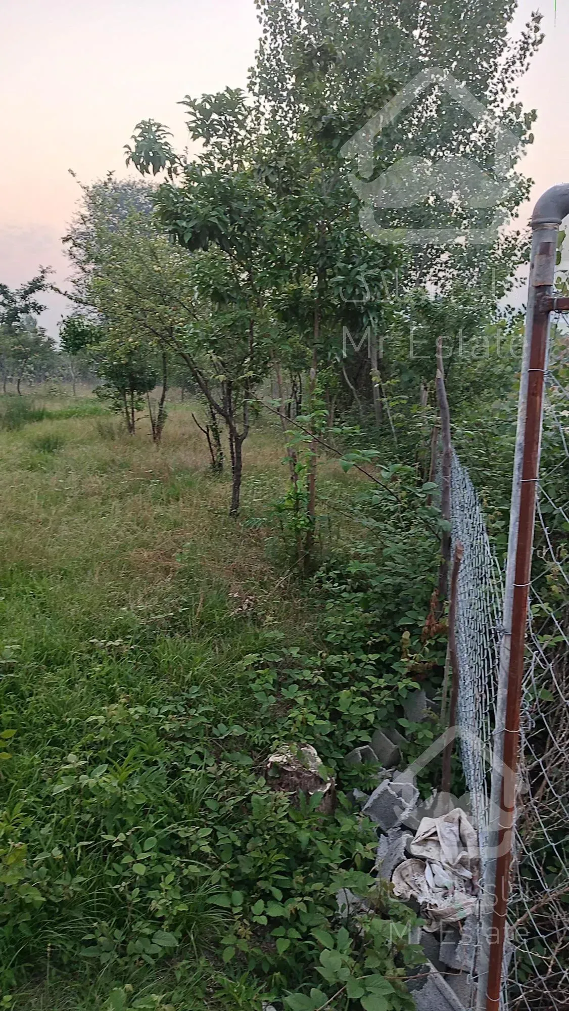 باغ 500متری مناسب سرمایه گذاری