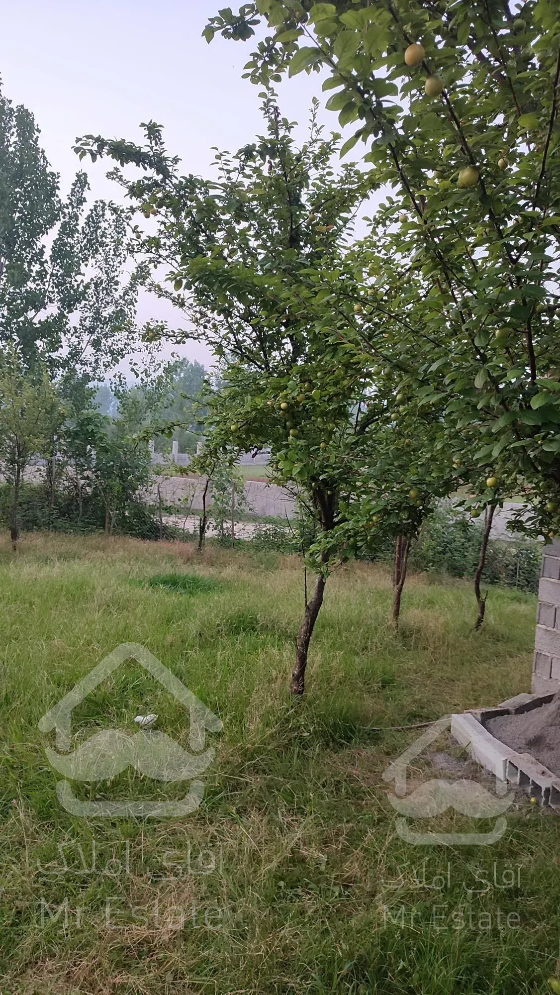 باغ 500متری مناسب سرمایه گذاری