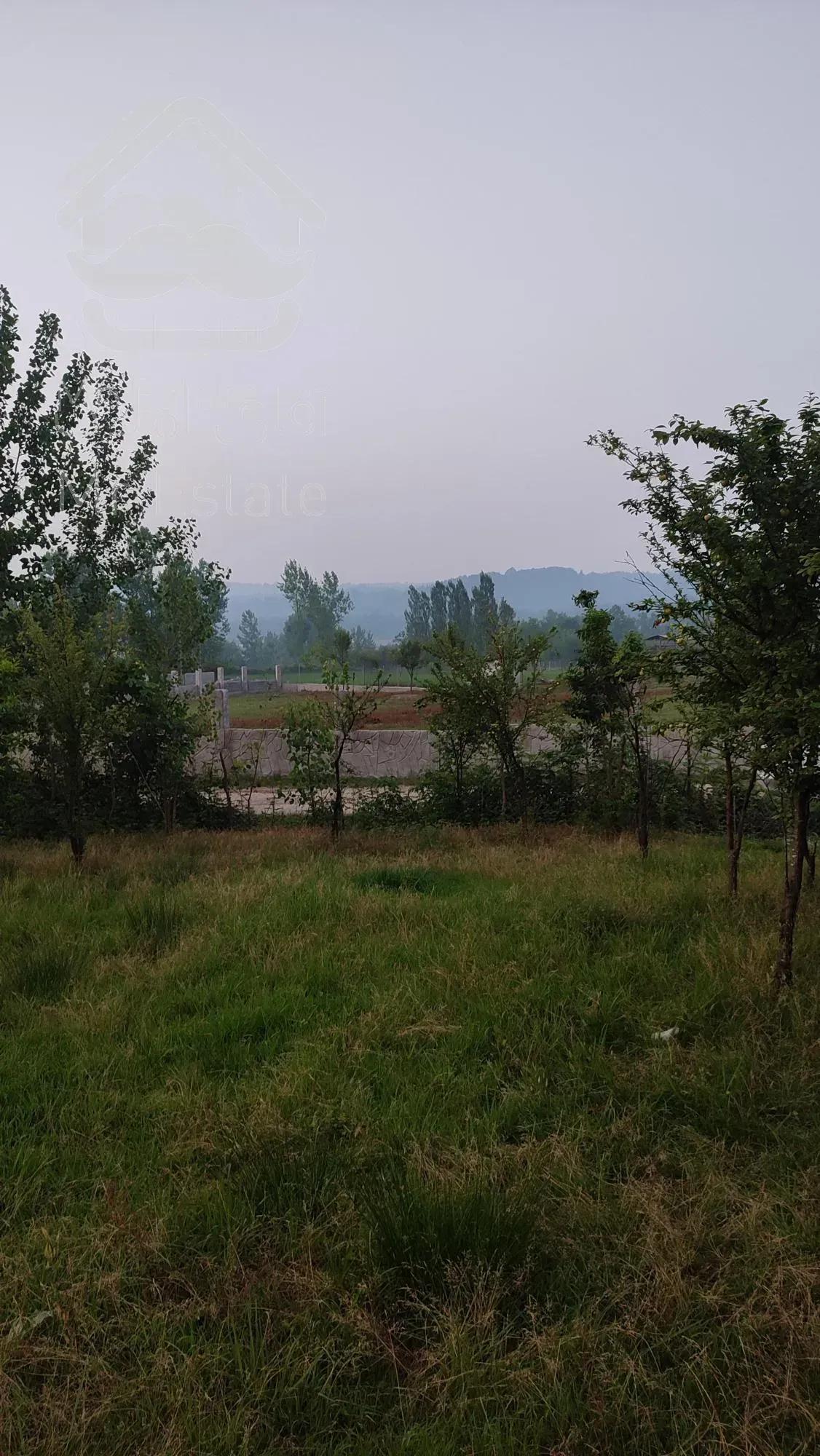 باغ 500متری مناسب سرمایه گذاری