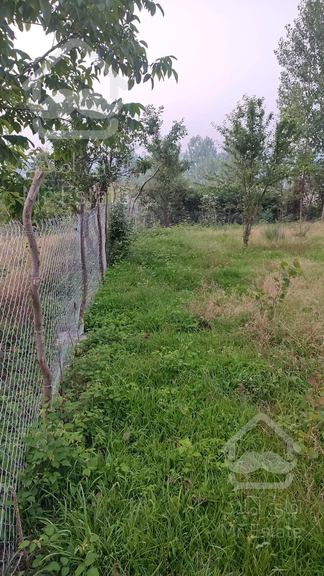 باغ 500متری مناسب سرمایه گذاری