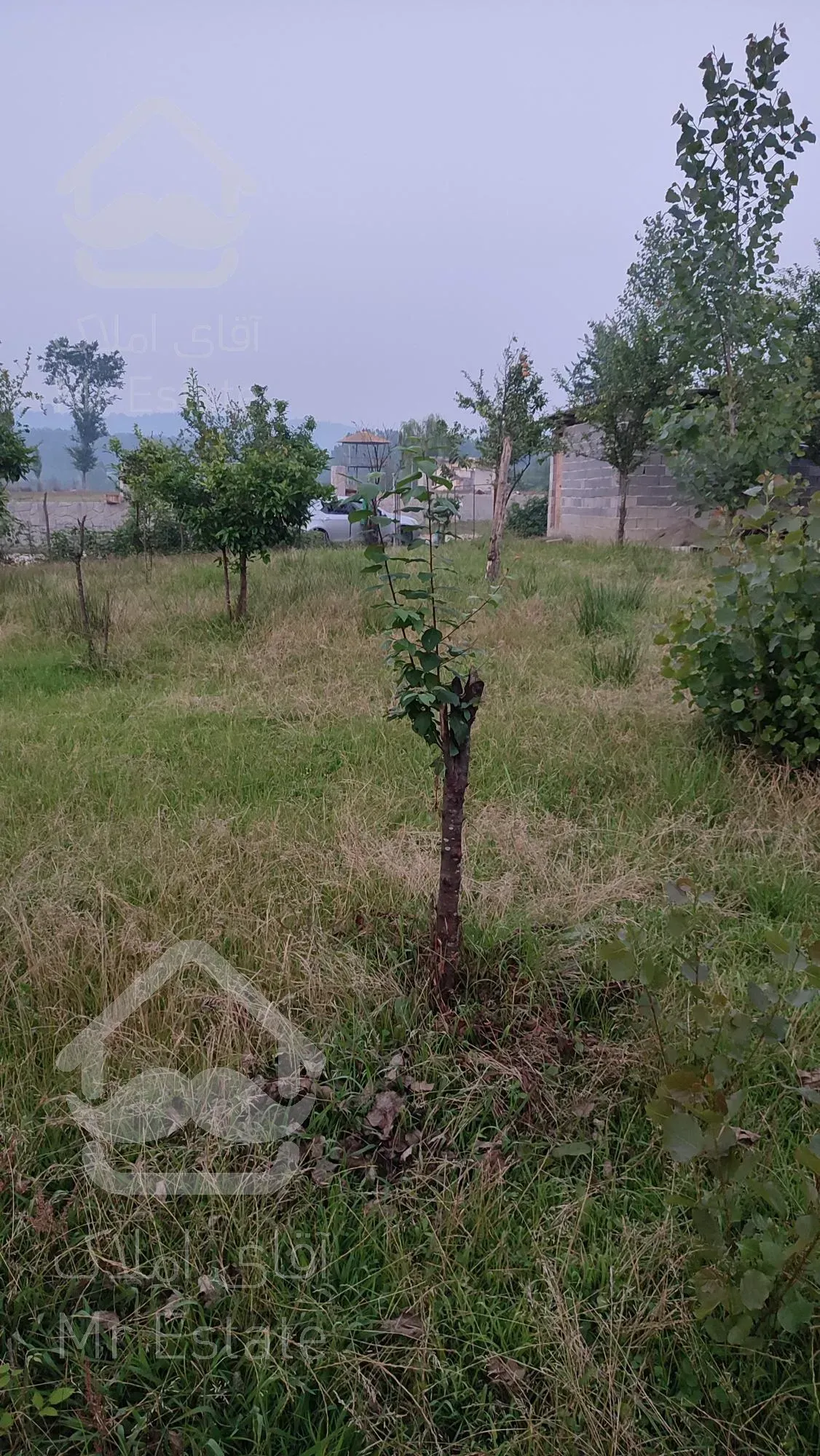 باغ 500متری مناسب سرمایه گذاری